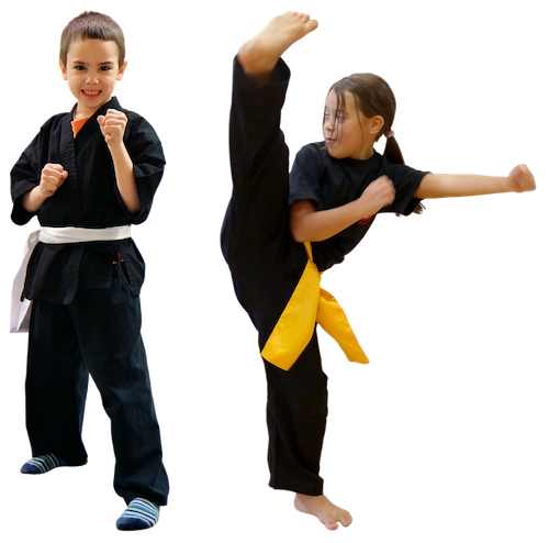 seishin arts-kinderkampfsport-kungfu-little-ninjas-young-warriors-waffentraining